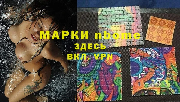 хмурый Белокуриха