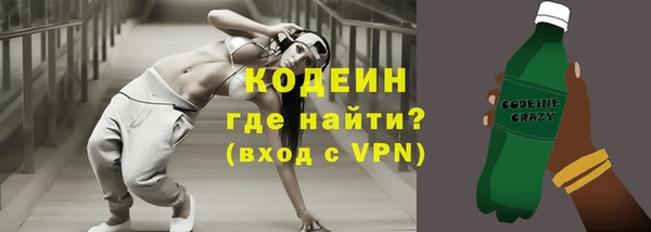 хмурый Белокуриха