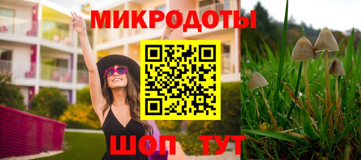 Галлюциногенные грибы мухоморы Кунгур
